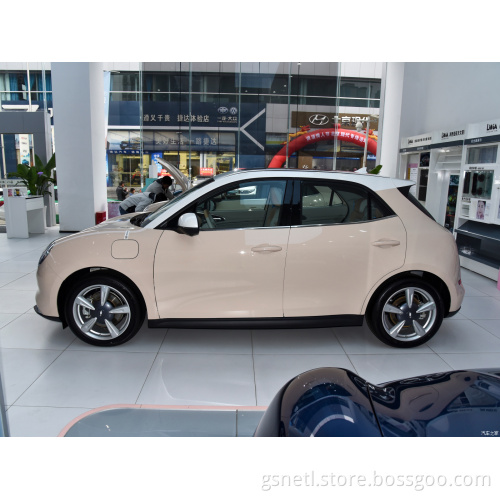 Electric car ora funky cat New energy vehicles ora good cat 2023